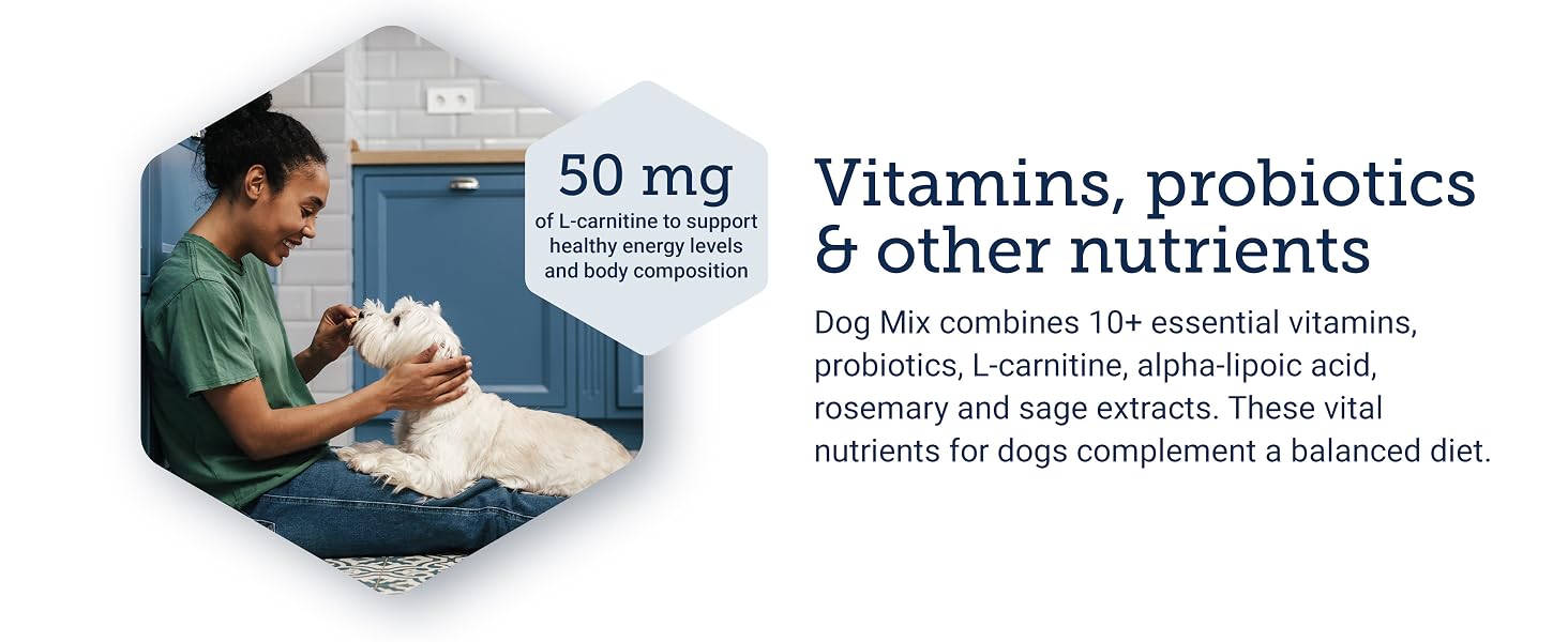 dogs, pet, food, multi, vitaminas, para, perros, supplies, supplement, multivitamins,