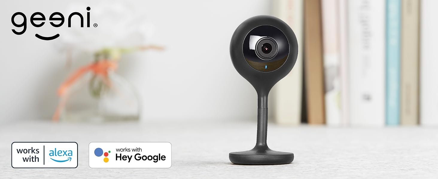 Indoor Camera Surveillance &amp;amp; Security Cameras Hidden Cameras Dome Surveillance Cameras