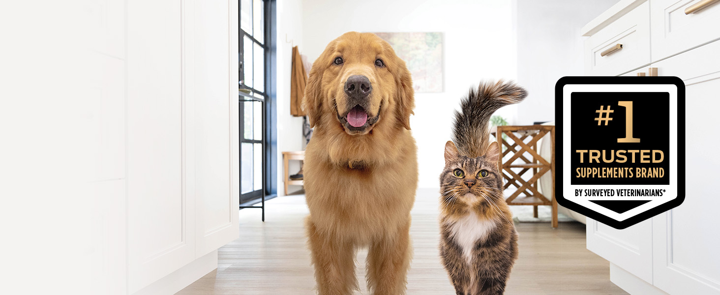 Dog and cat by number 1 trusted logo