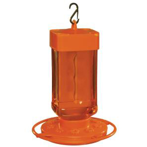 oriole, oriole feeder, attract oriole, outdoor feeder, hanging oriole feeder