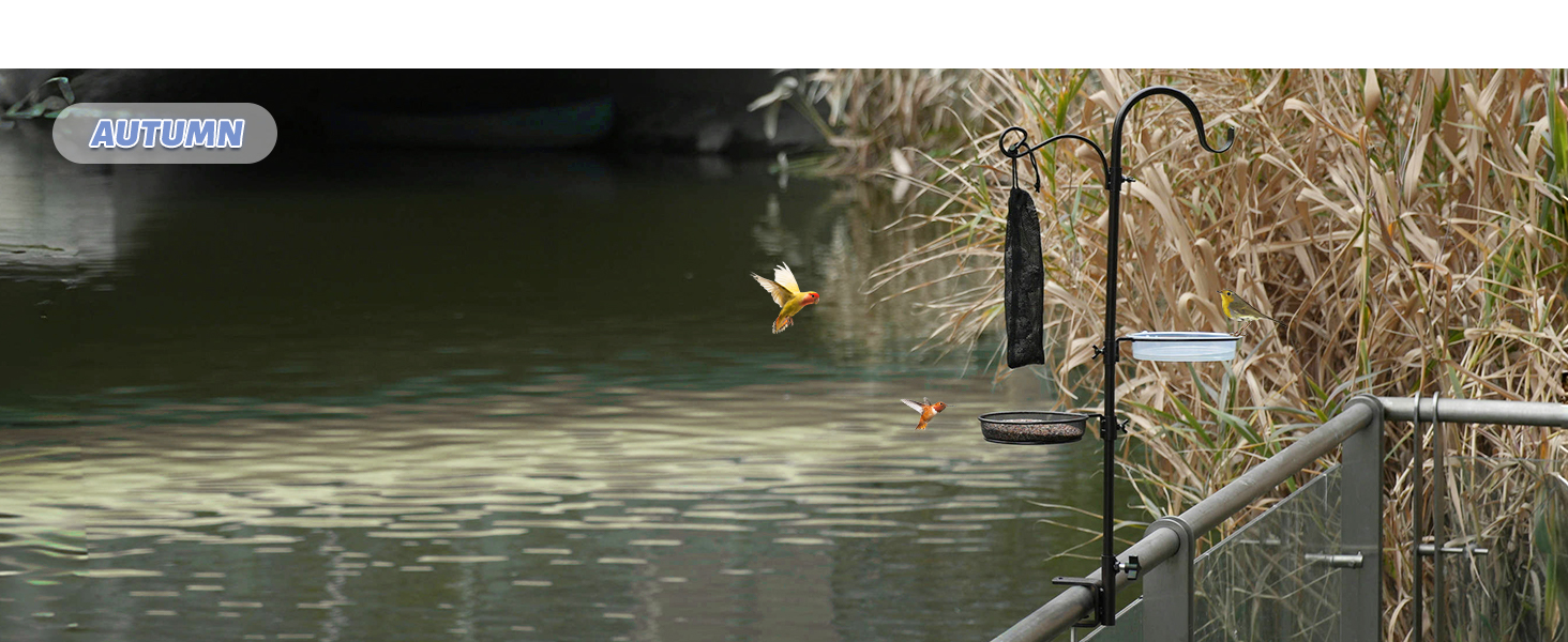 bird feeder pole