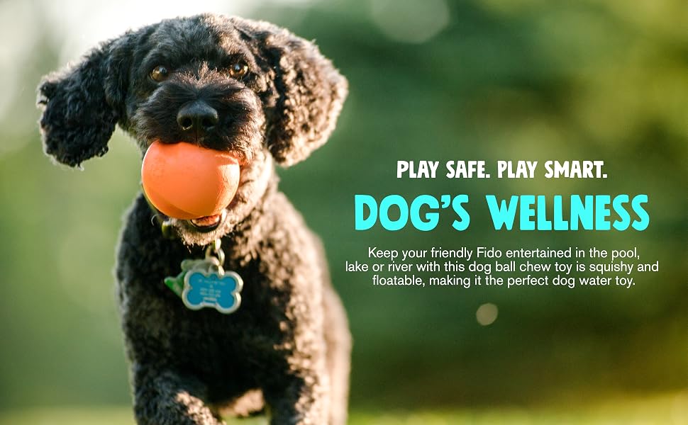 Jive Dog's Wellness