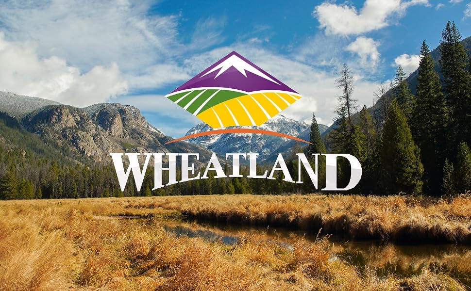 Wheatland, Idaho, Utah, USA, food, wheat berries