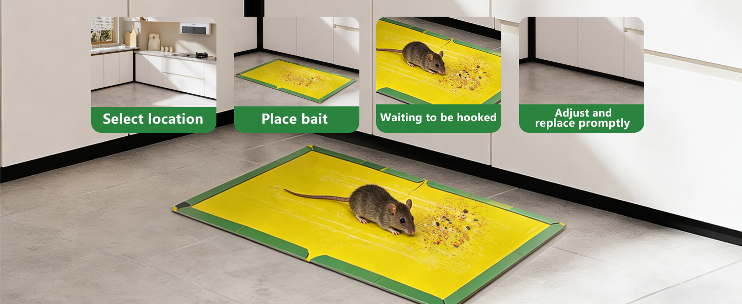 Catchmaster glue traps