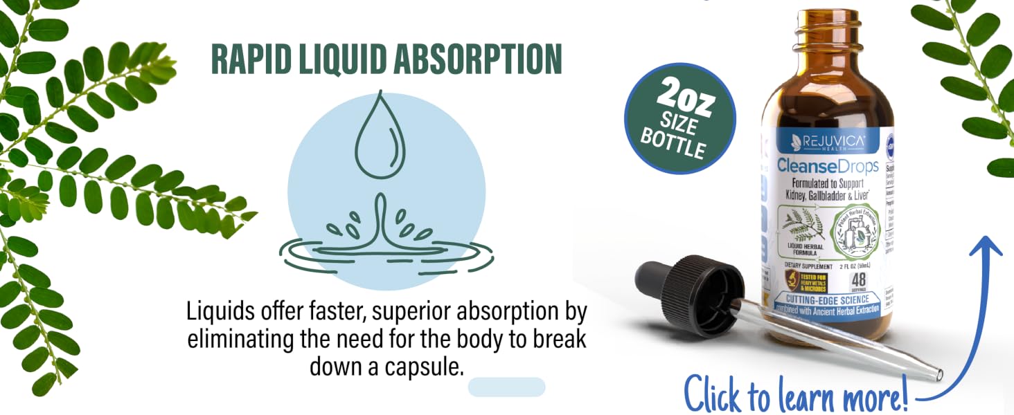 Rapid Liquid Absorption