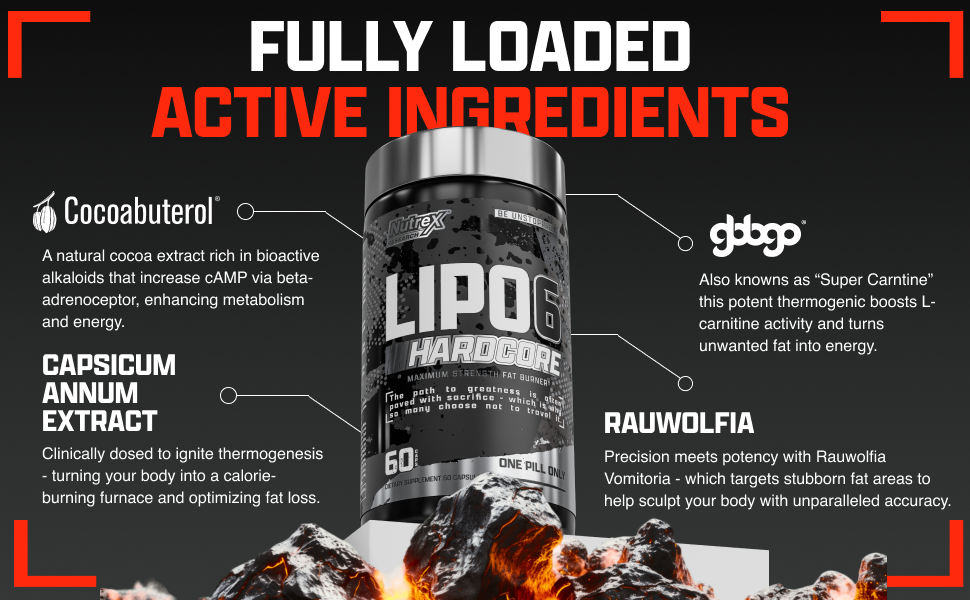 carnitine thermogenesis