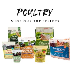 manna pro poultry