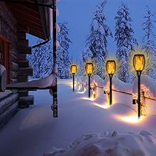 solar lights outdoors