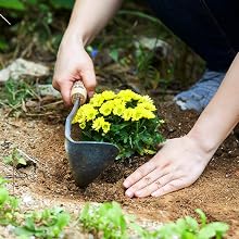 Turning over soil with HOMI