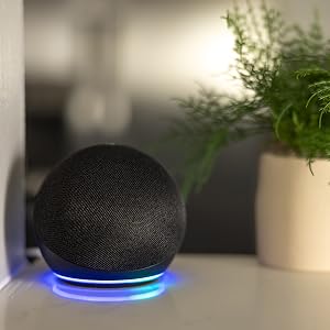 genie quietlift connect smart garage door opener works with Alexa using voice to control the door