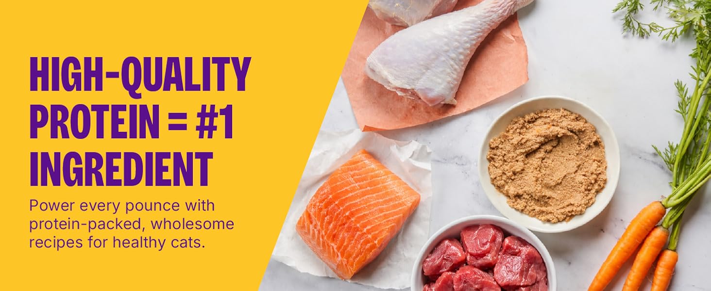 High-Quality Protein = #1 Ingredient