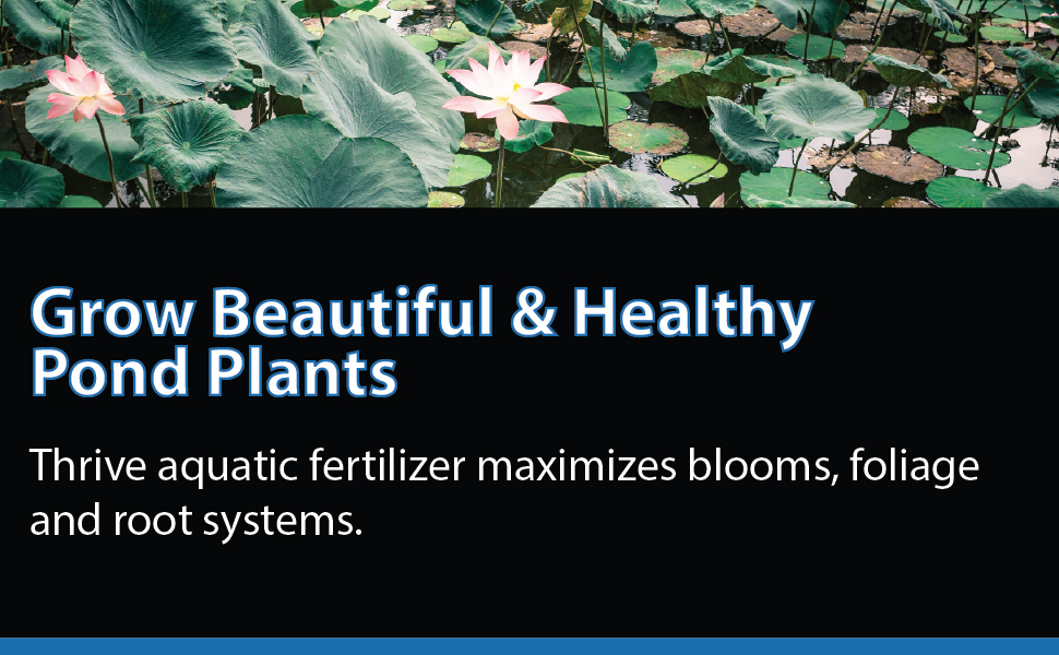 Thrive banner creating beautiful blooms naturally