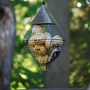 Suet Balls in a Geo Diamond Suet Ball Feeder