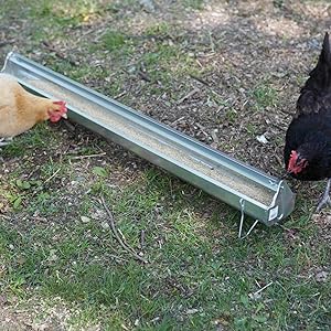 Galvanized Poultry Feeder