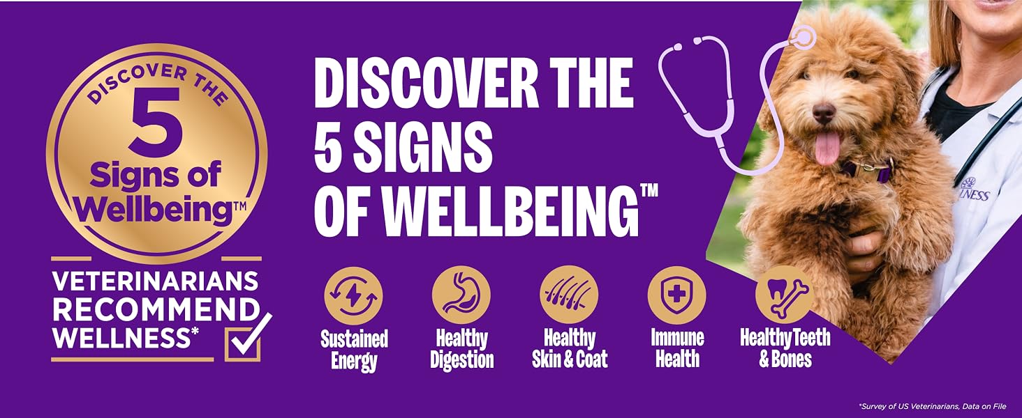 Discover the 5 Signs of Wellbeing with Wellness Dog Food