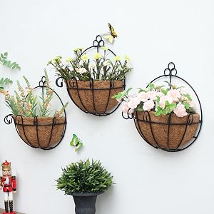 Wall Hanging Planter