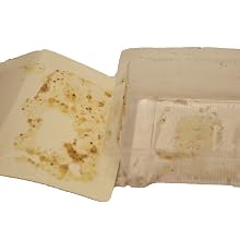 Empty old suet cake tray