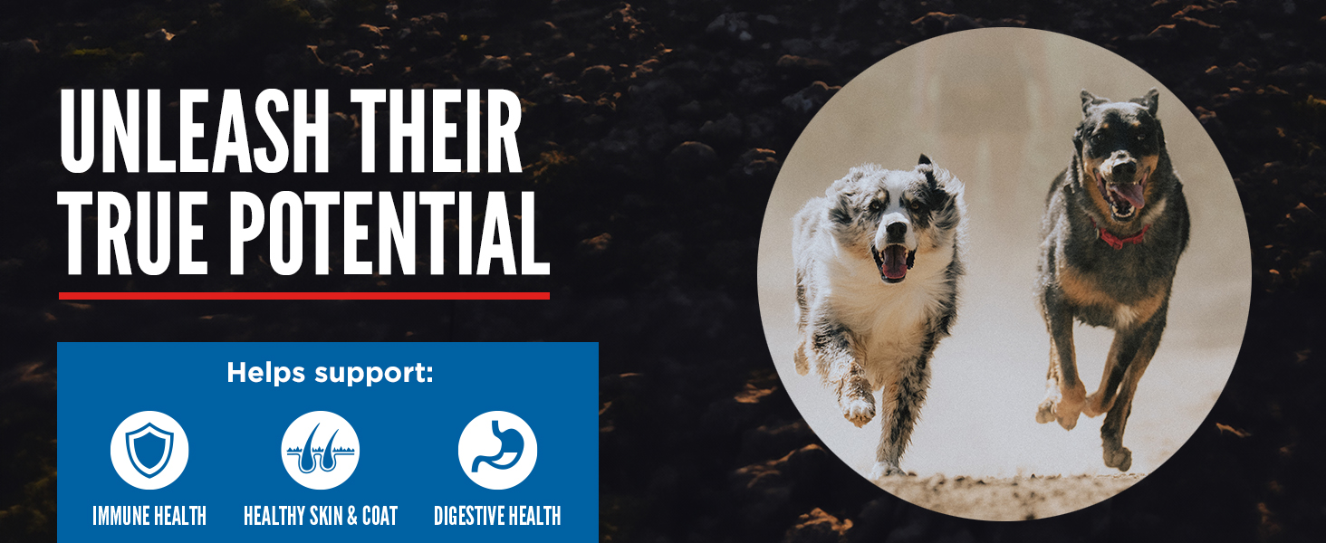 ORIJEN Grain Free Dog Nature Nourishes