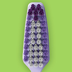 Close up of Reach Crystal Clean toothbrush head