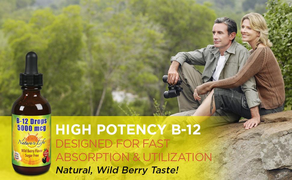 Nature’s Life B12 Drops Methylcobalamin 5000 mcg Healthy Energy Metabolism Mood Support Wild Berry