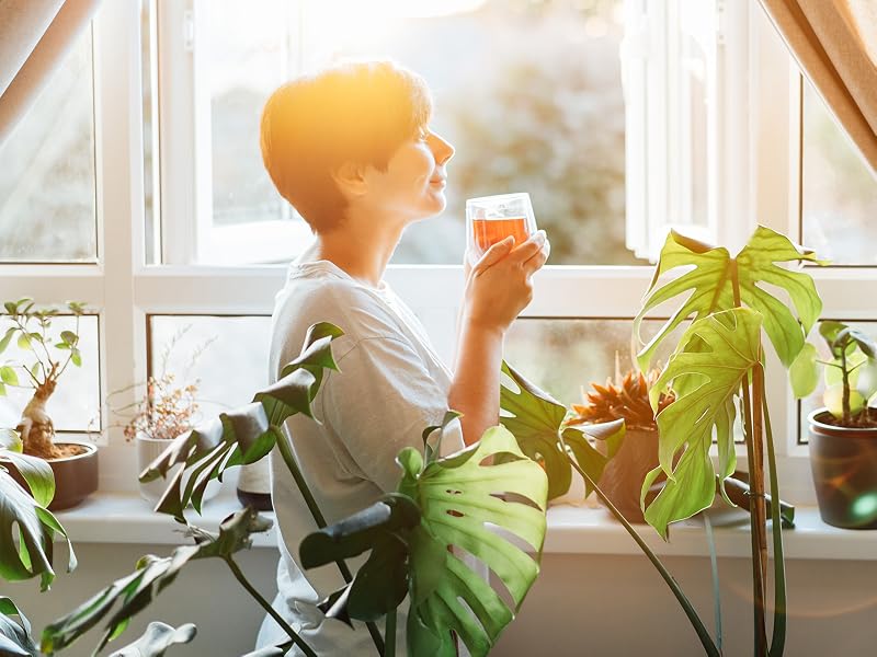 Woman in window with sunlight