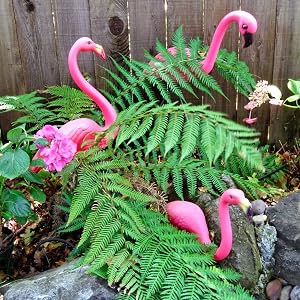 two pack plastic pink flamingo yard decor &amp; lawn decorations