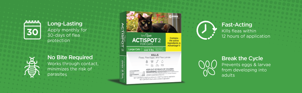 Actispot II