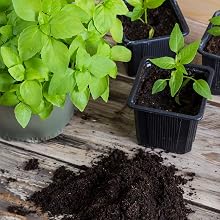 great for growing seedlings and for use in transplanting in pots or the ground