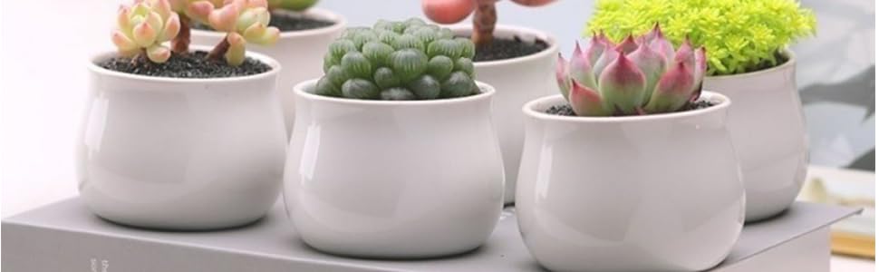pots