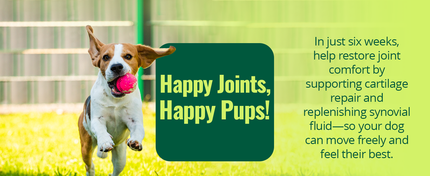 In just 6 weeks help restore joint comfort by supporting cartilage repair &amp;amp; replenish synovial fluid