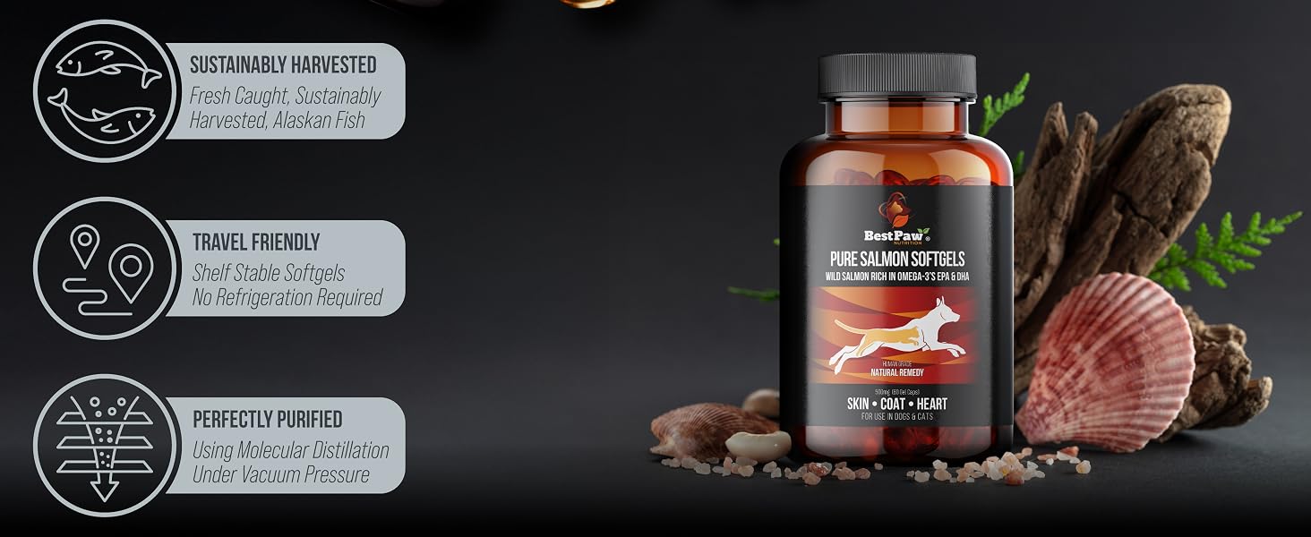 Salmon Oil For Dogs
