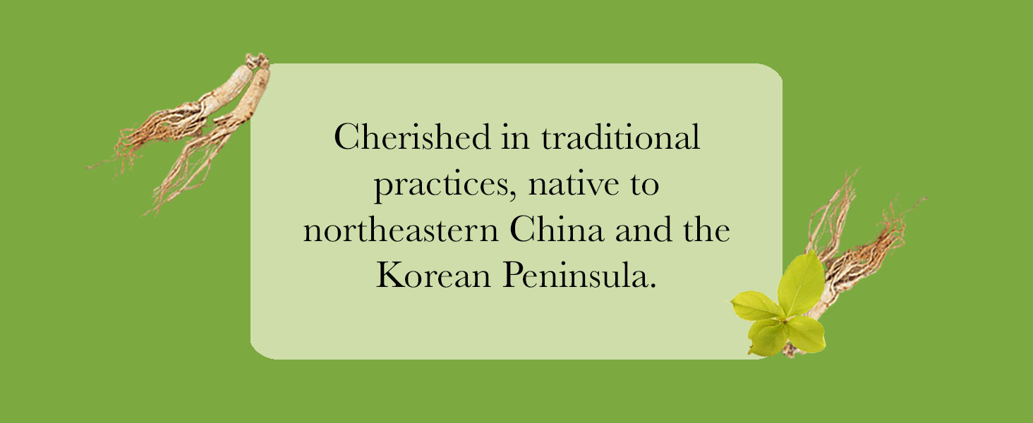 Cherished in traditional practices, native to northeastern China and the Korean Peninsula.