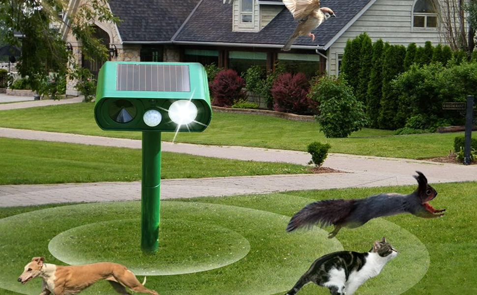 Flash Animal Repeller