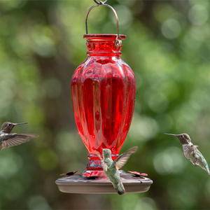 Perky-Pet Daisy Vase Vintage Glass Hummingbird Feeder