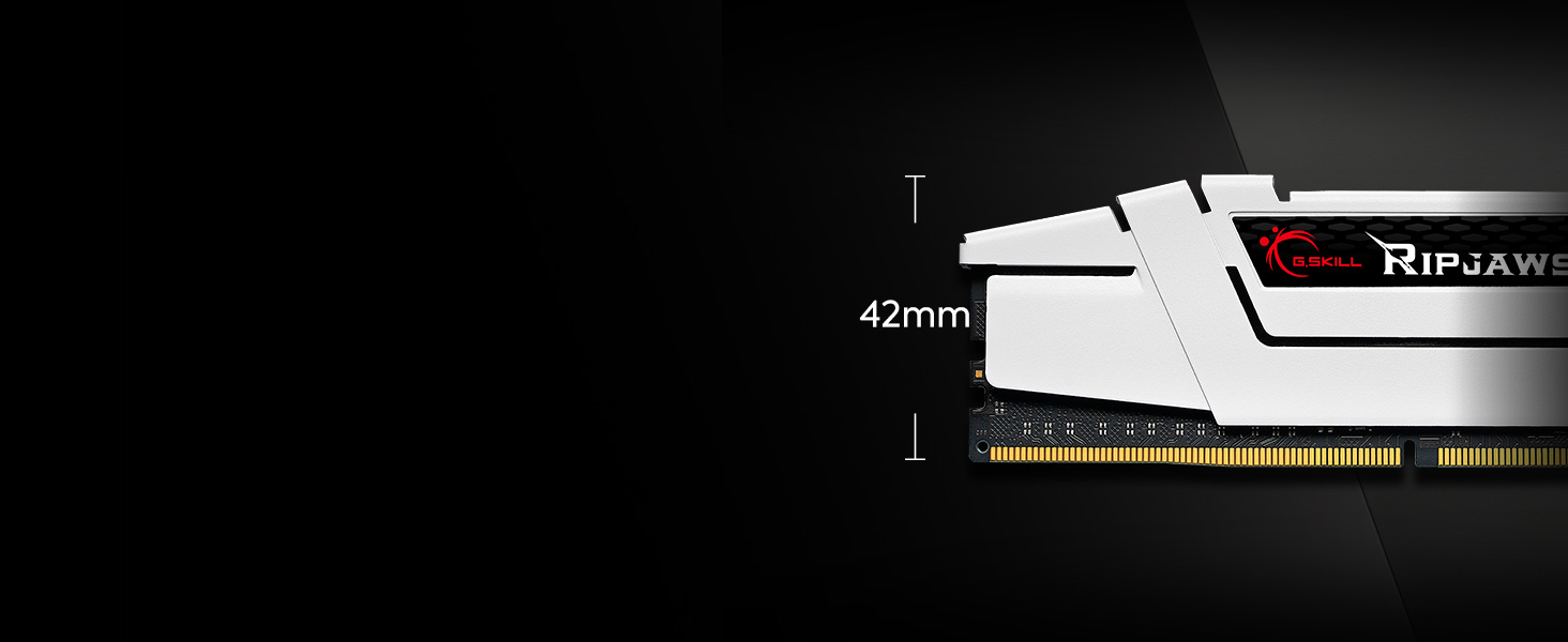 Ripjaws v ddr4