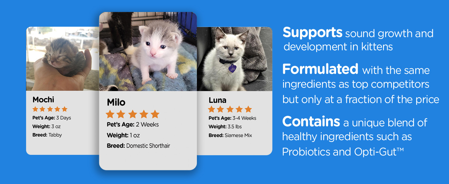kitten milk replacer formula newborn kitten food nursing supplement bottle feeding weaning growth