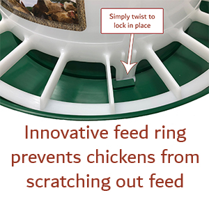 innovative feed ring prevents chickens from scratching out food