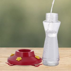 Perky-Pet 16 oz. Pinch-Waist Glass Hummingbird Feeder