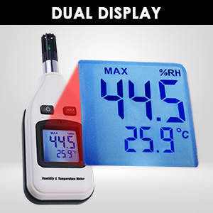 Dual Display