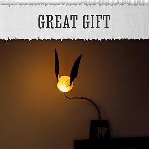 Great Gift