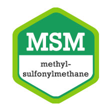MSM