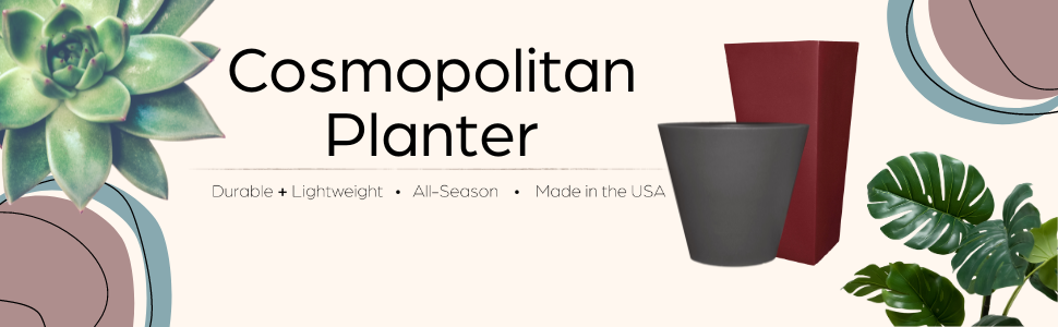 Cosmopolitan Planter Product Header