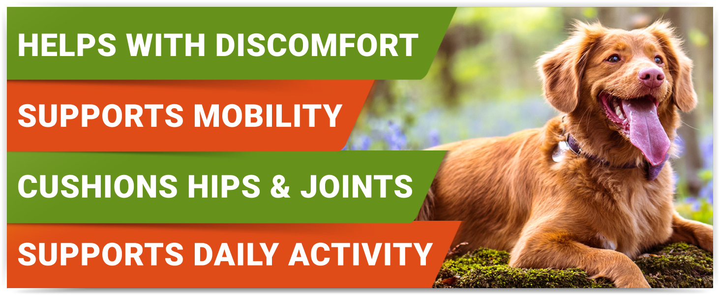 Liquid Glucosamine for Dogs w/Collagen