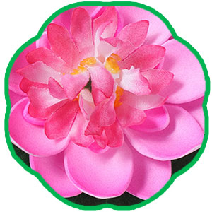 lotus foam flower