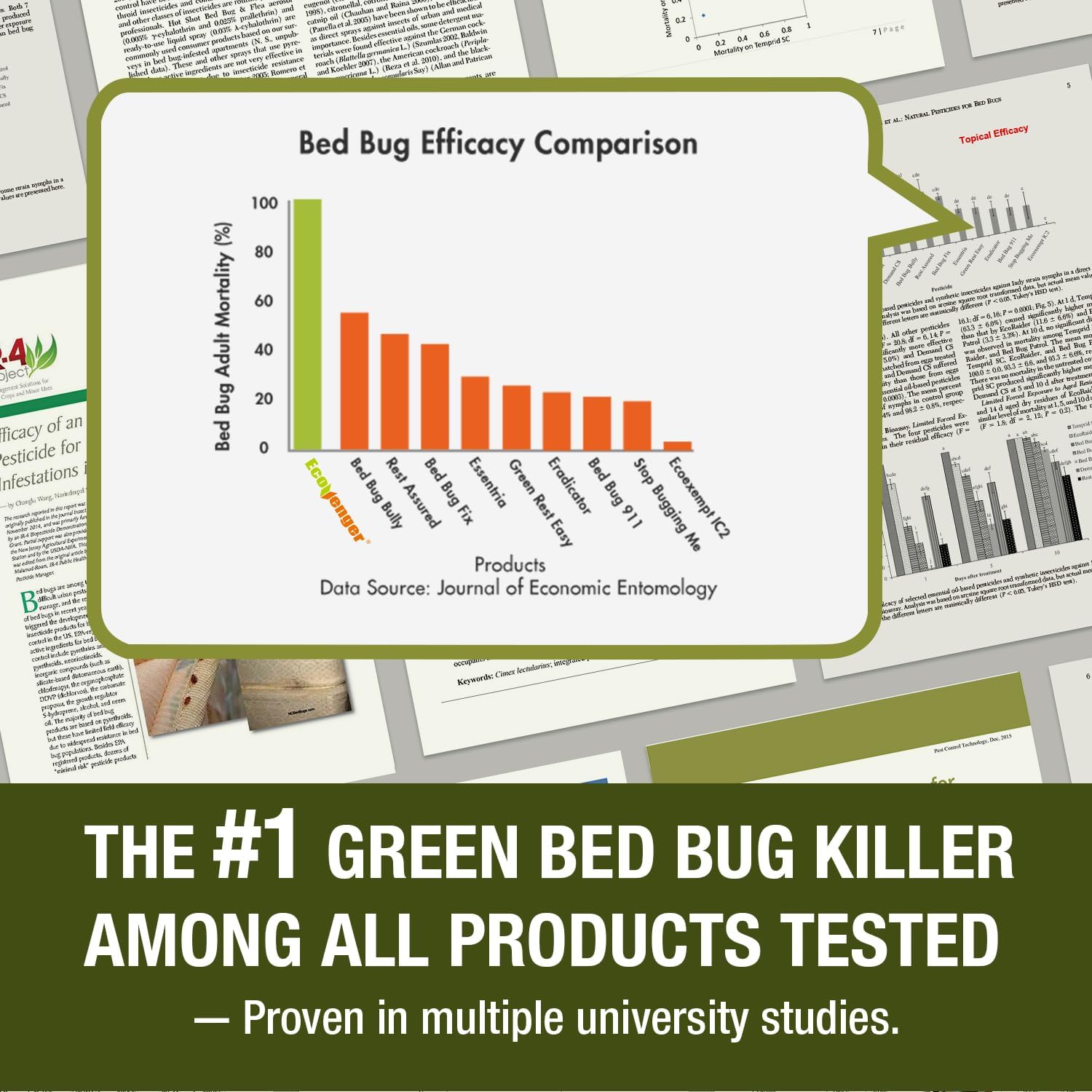 Bed Bug Killer 16 oz EcoVenger by EcoRaider, 100% Kill Efficacy, Bedbugs & Mites, Kills Eggs & The Resistant, Lasting Protection, USDA BIO-Certified, Plant Extract Based & Non-Toxic, Child & Pet Safe