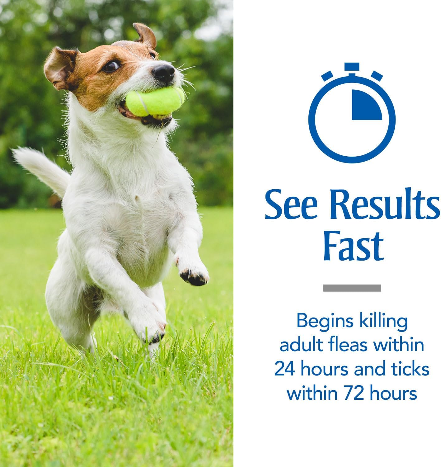 PetArmor Flea & Tick Topical Dogs 45-88 lbs, Fipronil, 3-Month | Ideal for Large Dogs 45-88 lbs; Kills Adult Fleas in 24-48 hrs; 3-month supply; Vet-Quality, No Rx Needed