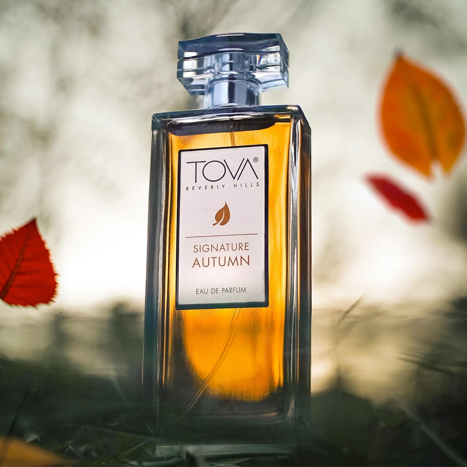 Tova Signature Eau de Parfum – Classic Bergamot Jasmine Lavender Perfume for Women – Timeless Scent – USA-Made & Cruelty-Free – 3.4 fl oz