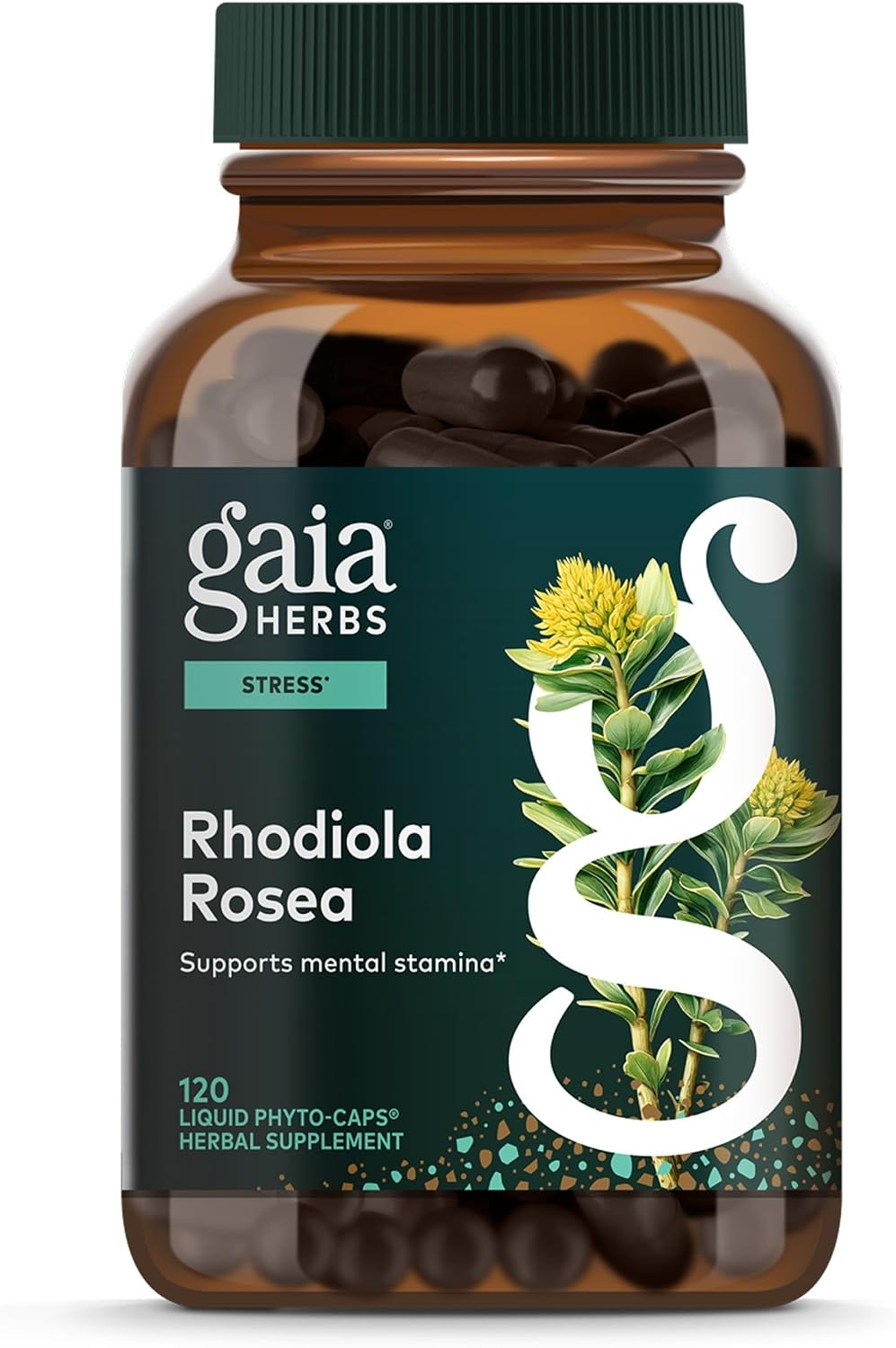 Gaia Herbs Rhodiola Rosea - Stress Support Supplement Traditionally for Supporting Healthy Stamina & Endurance* - with Siberian Rhodiola Root Extract - 60 Vegan Liquid Phyto-Caps (60 Servings)