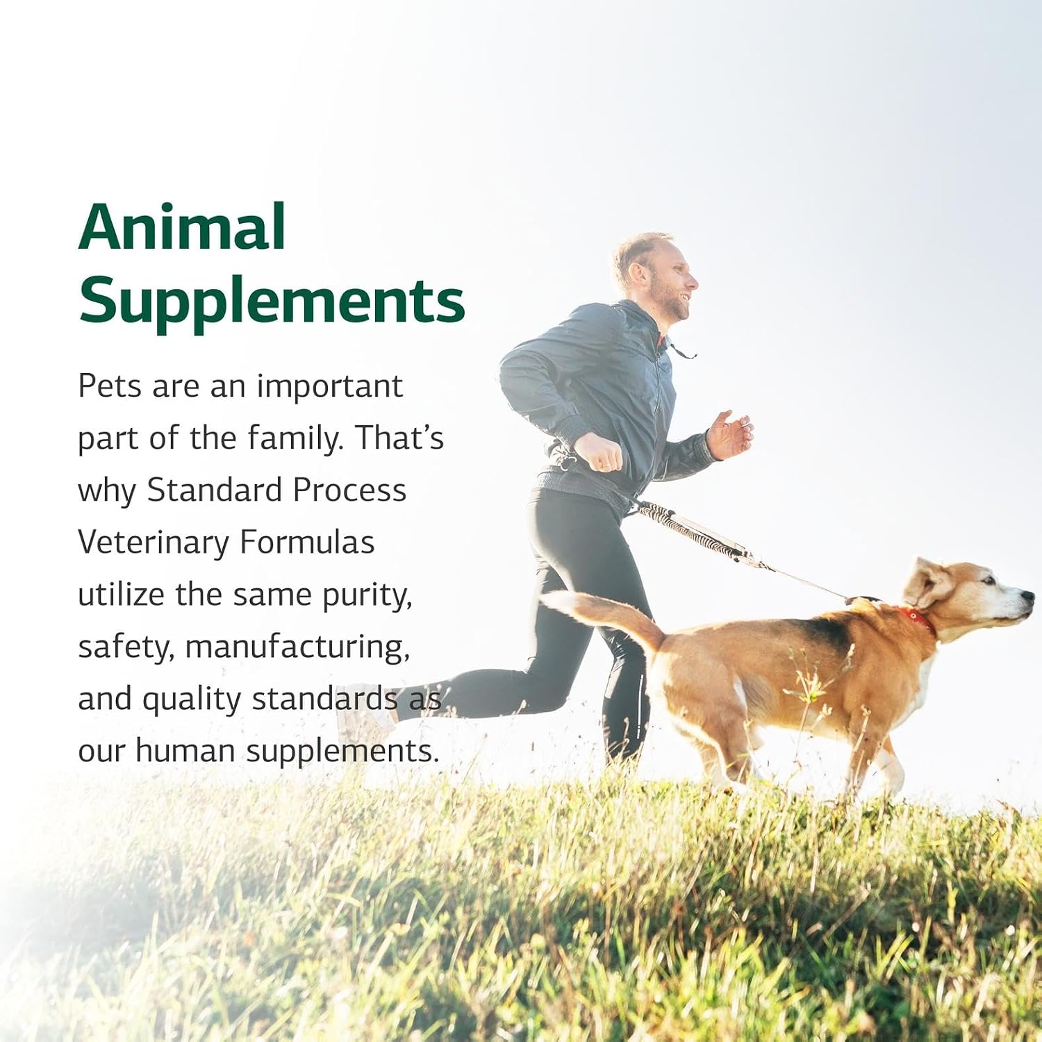 Standard Process Inc. Feline Cardiac Support - Cardiovascular System Supplement for Felines - Dietary Cat Supplement to Support Heart Health &