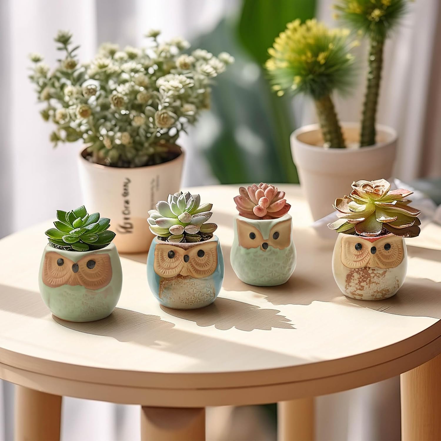 T4U Mini Succulent Ceramic Pots for Gifts, Small Planters for Decor 6 Pack | Planters with Drainage, for live cactus plants, bonsai tree starter pots, indoor windowsill decor, office desk accents